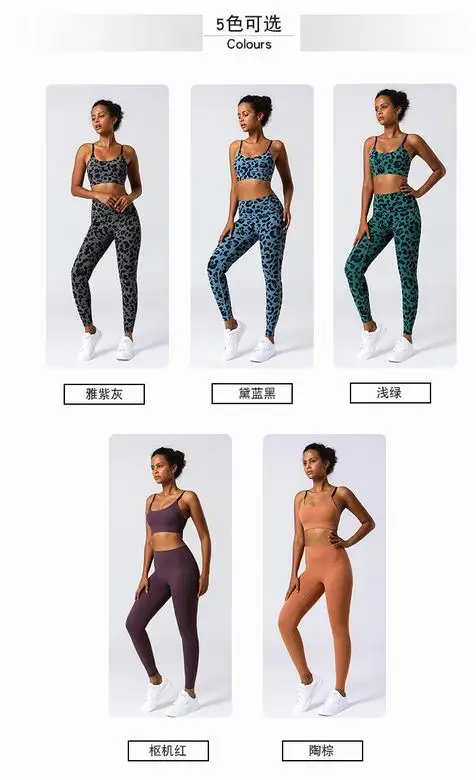 Alo S-XL 2134 5C (5)